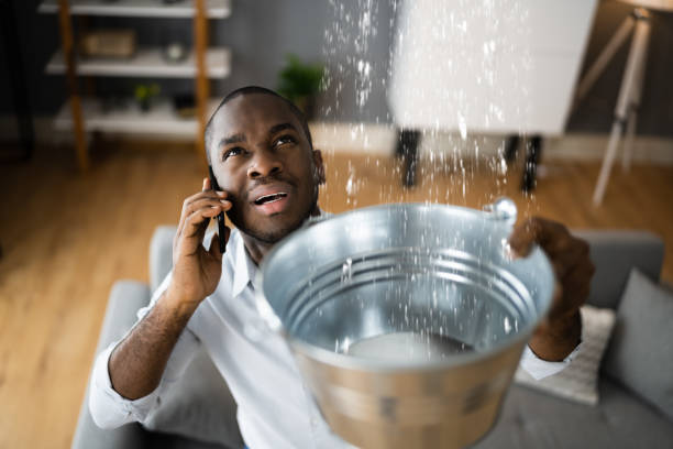 Best Water damage cleanup near me  in Innsbrook, VA